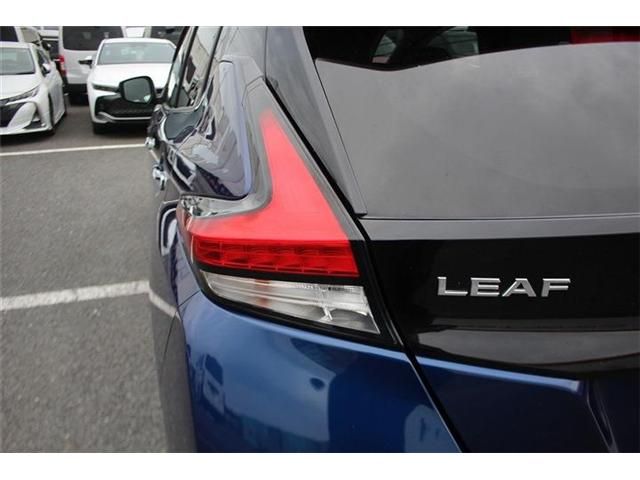 LEAF