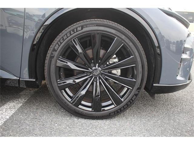 CROWN SPORT