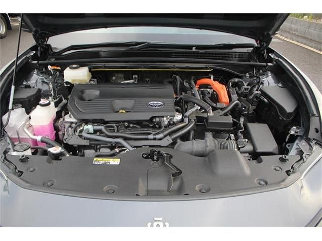 CROWN SPORT