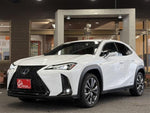 LEXUS UX250h