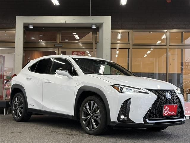 LEXUS UX250h