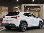 LEXUS UX250h