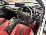 LEXUS UX250h