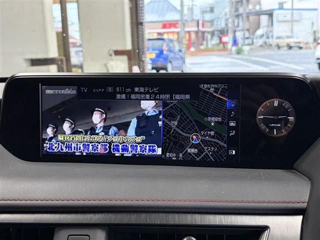 LEXUS UX250h