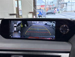 LEXUS UX250h