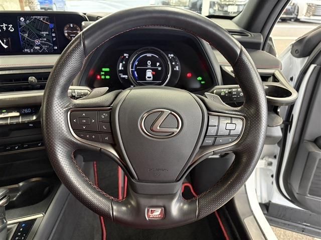 LEXUS UX250h