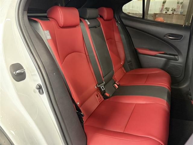 LEXUS UX250h