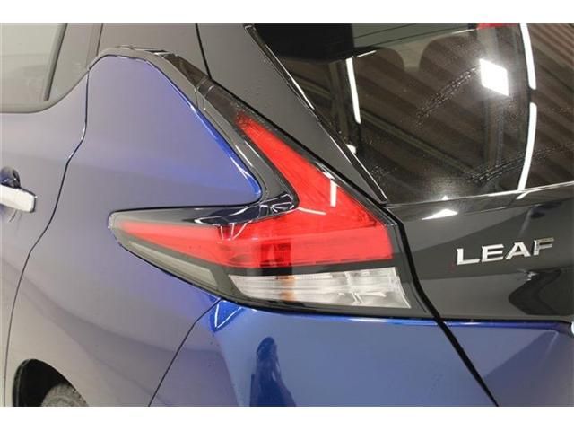 LEAF