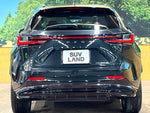 LEXUS NX350h AWD
