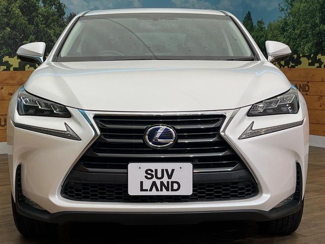 LEXUS NX300h AWD