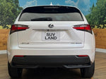 LEXUS NX300h AWD