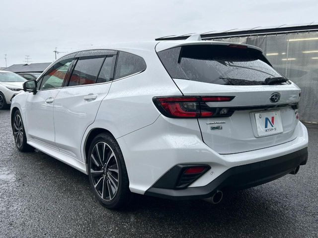 LEVORG