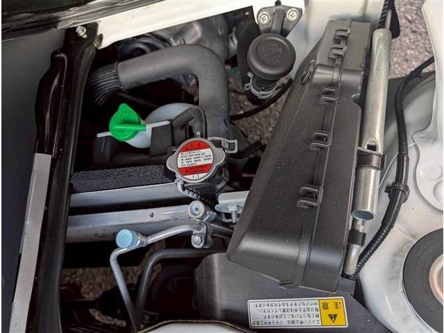 CLIPPER truck 4WD