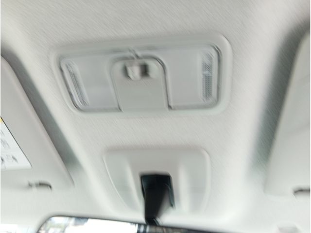 ROOMY