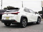 LEXUS UX300e