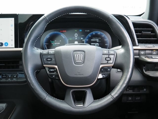 CROWN SPORT