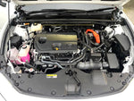 CROWN SPORT