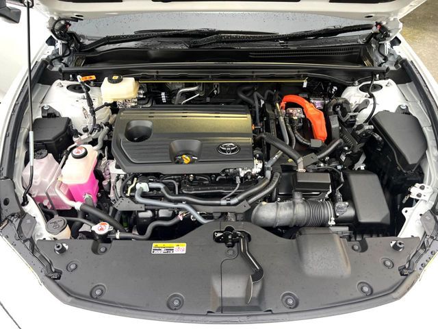 CROWN SPORT