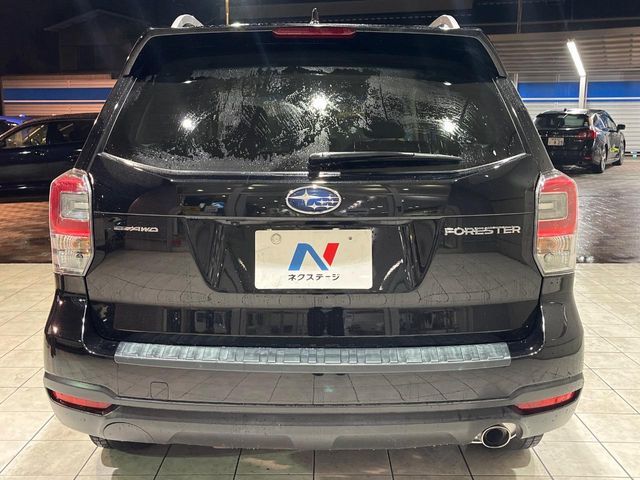 FORESTER