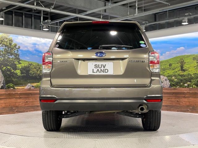 FORESTER