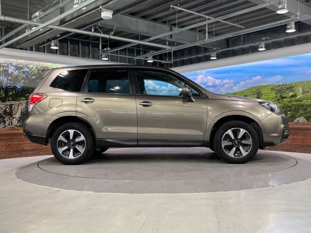 FORESTER