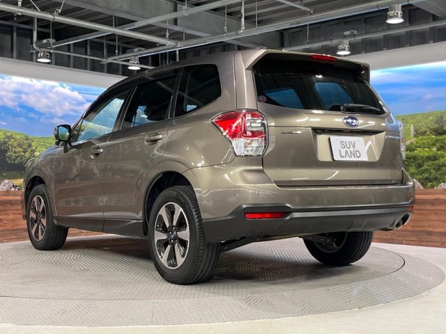 FORESTER