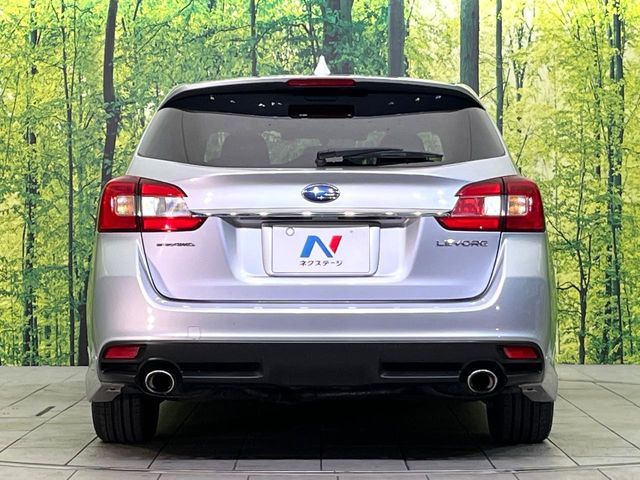LEVORG