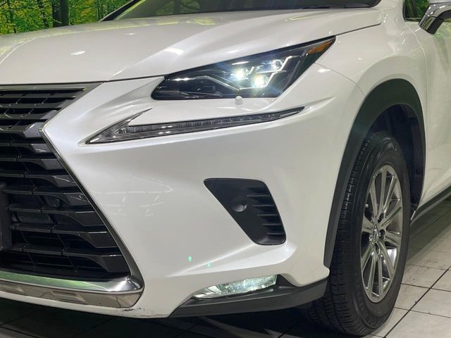 LEXUS NX300 AWD