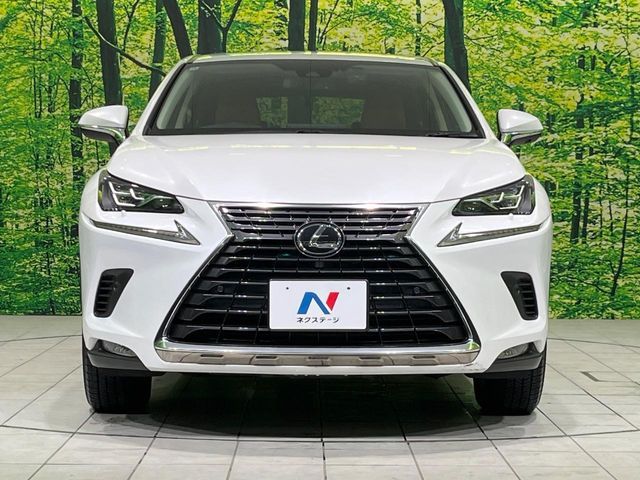 LEXUS NX300 AWD