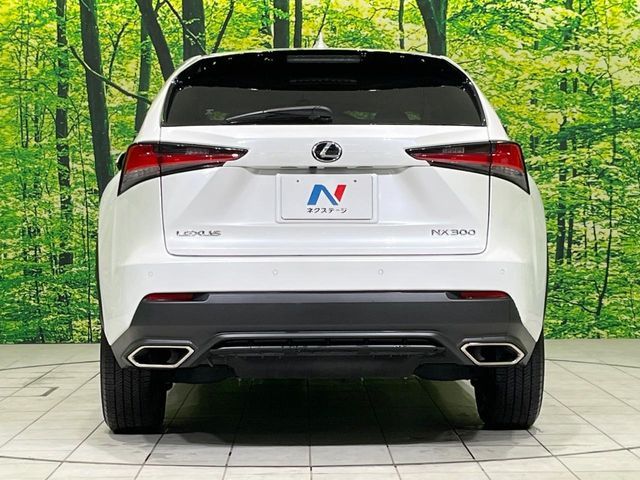 LEXUS NX300 AWD