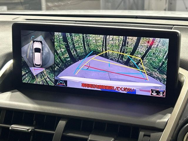 LEXUS NX300 AWD