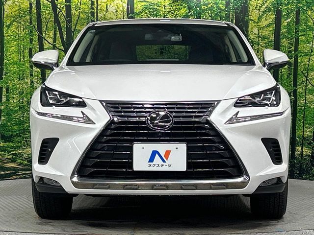 LEXUS NX300 AWD