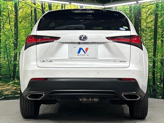 LEXUS NX300 AWD