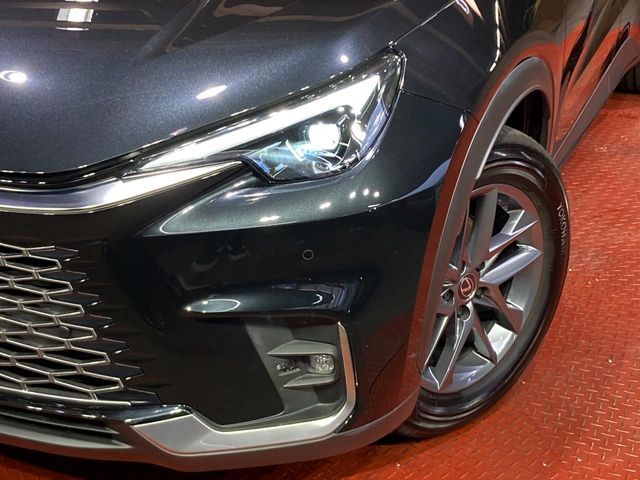 LEXUS LBX