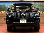 LANDCRUISER PRADO