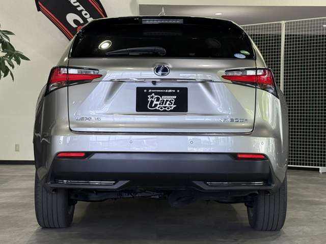 LEXUS NX300h AWD