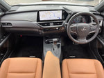 LEXUS UX250h