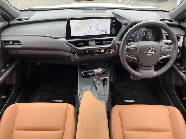 LEXUS UX250h
