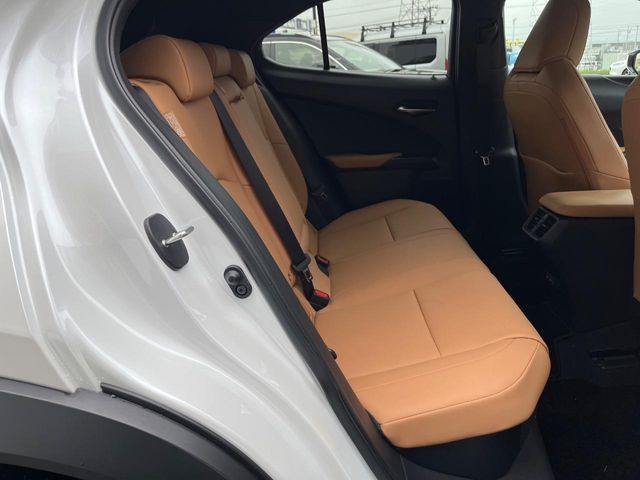 LEXUS UX250h