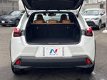 LEXUS UX250h