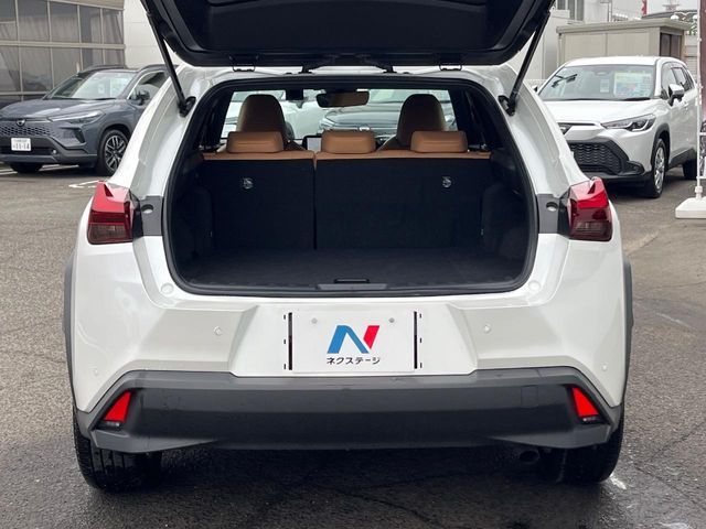 LEXUS UX250h