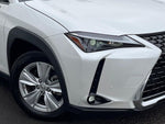 LEXUS UX250h
