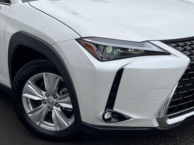 LEXUS UX250h