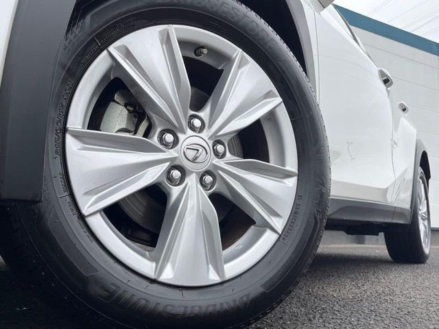 LEXUS UX250h