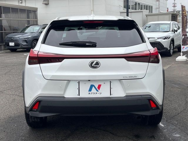 LEXUS UX250h