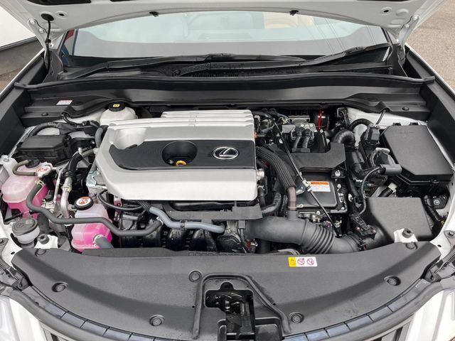 LEXUS UX250h