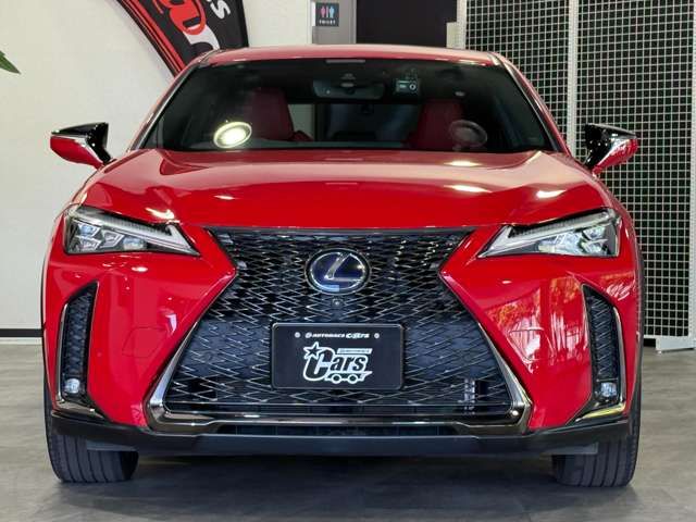 LEXUS UX250h AWD