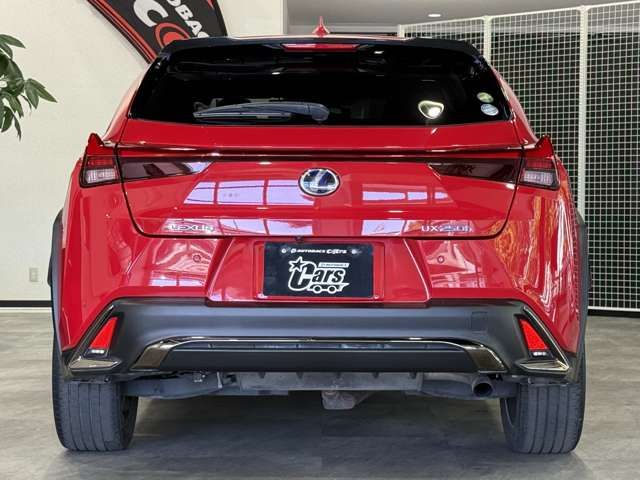 LEXUS UX250h AWD
