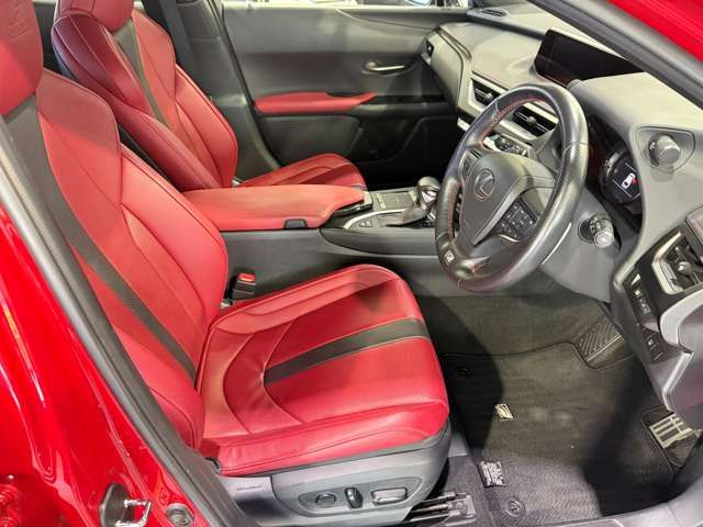 LEXUS UX250h AWD