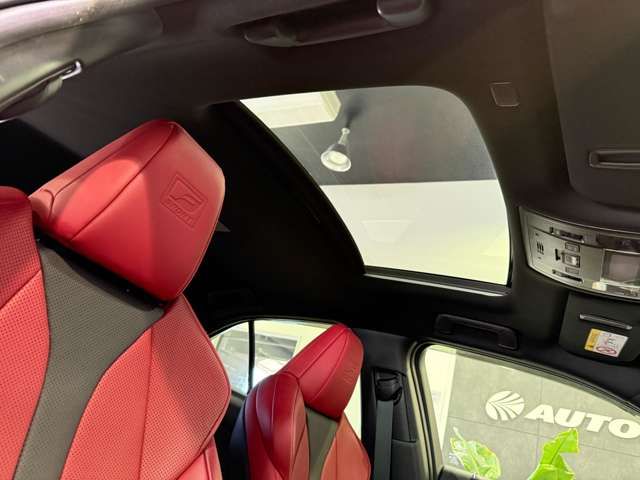 LEXUS UX250h AWD